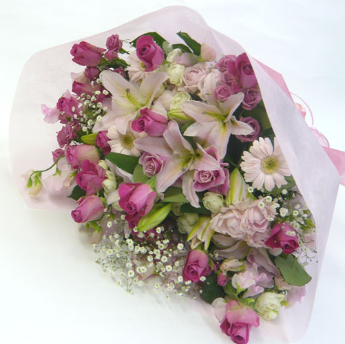 ����ԁ@���ԉԑ�/���}���e�B�b�N�J���[�u�[�P�X�y�V����